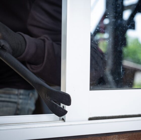 podemos echar a los okupas