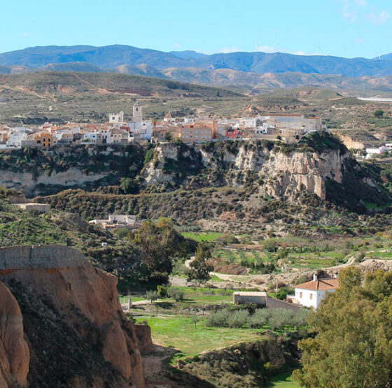 okupacion-de-cortijos-en-almeria