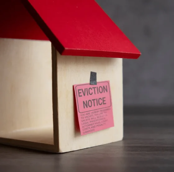 derechos de los okupas