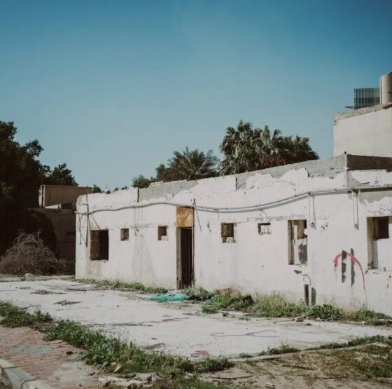 viviendas deshabitadas okupas